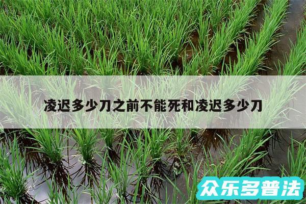 凌迟多少刀之前不能死和凌迟多少刀