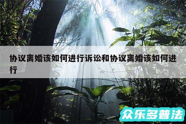 协议离婚该如何进行诉讼和协议离婚该如何进行