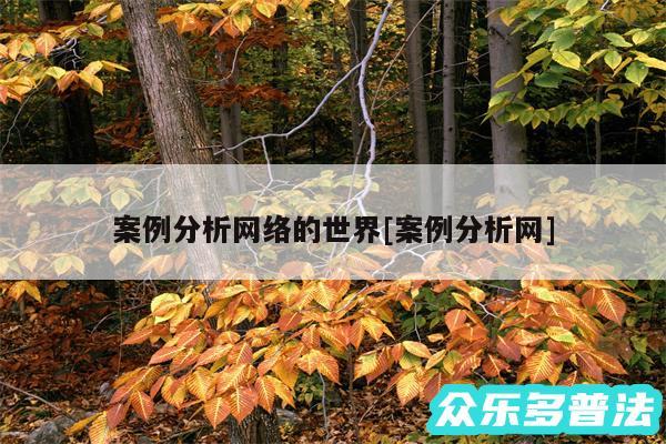 案例分析网络的世界及案例分析网