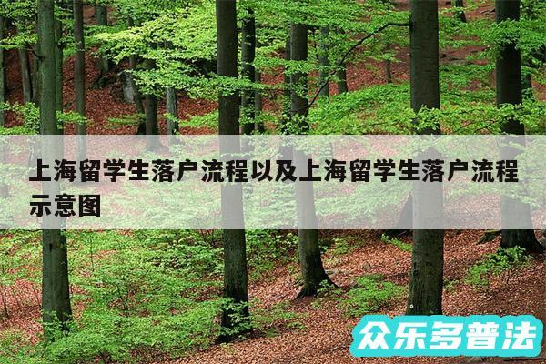 上海留学生落户流程以及上海留学生落户流程示意图