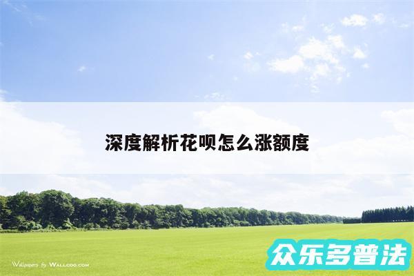 深度解析花呗怎么涨额度
