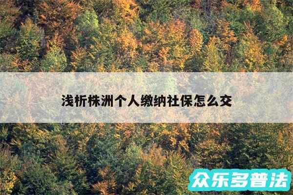 浅析株洲个人缴纳社保怎么交