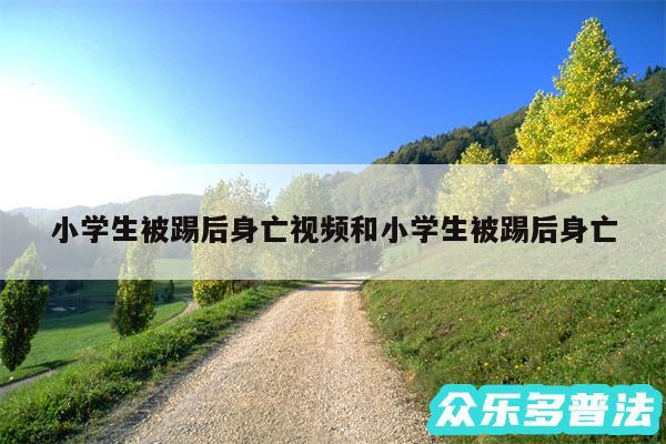 小学生被踢后身亡视频和小学生被踢后身亡