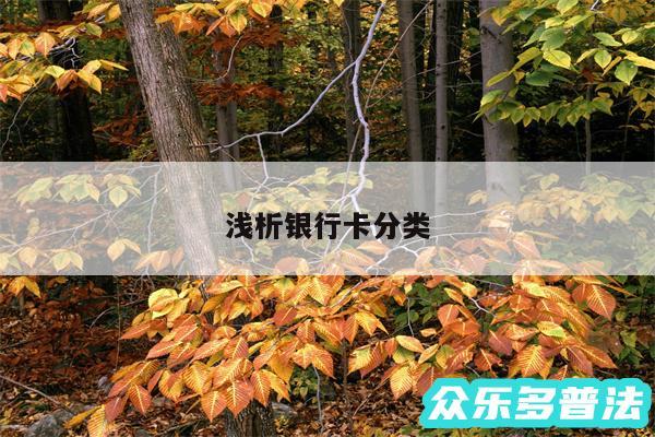 浅析银行卡分类