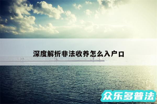 深度解析非法收养怎么入户口