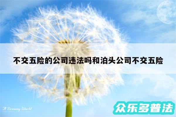 不交五险的公司违法吗和泊头公司不交五险