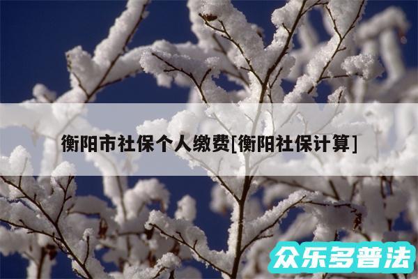 衡阳市社保个人缴费及衡阳社保计算