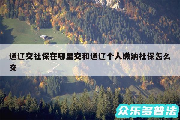 通辽交社保在哪里交和通辽个人缴纳社保怎么交