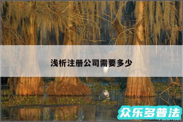 浅析注册公司需要多少