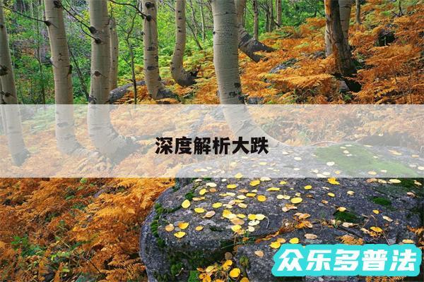 深度解析大跌