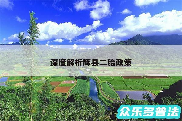 深度解析辉县二胎政策