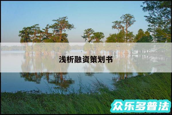 浅析融资策划书