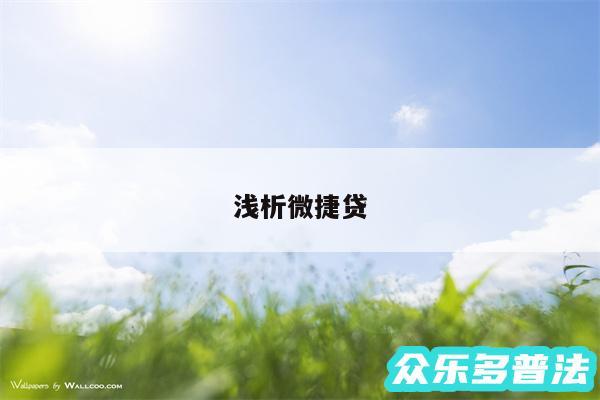浅析微捷贷