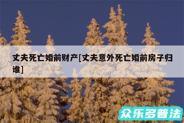 丈夫死亡婚前财产及丈夫意外死亡婚前房子归谁