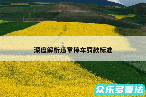 深度解析违章停车罚款标准
