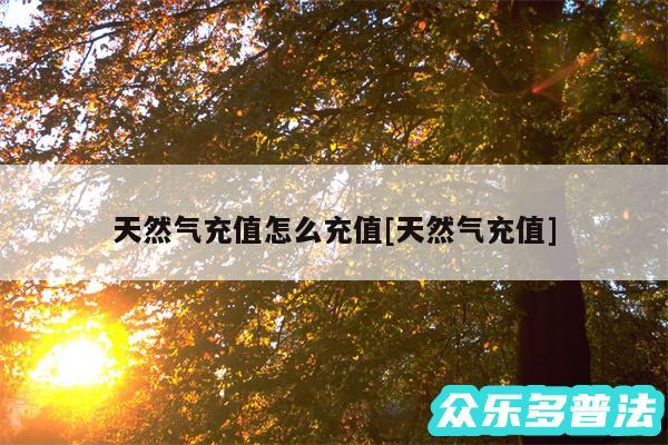 天然气充值怎么充值及天然气充值