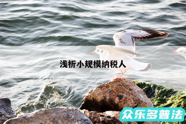浅析小规模纳税人