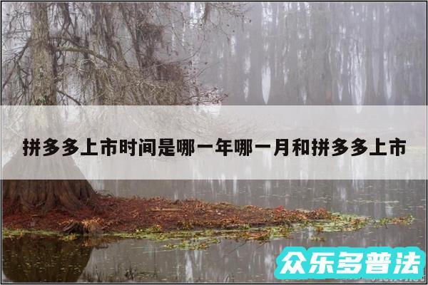 拼多多上市时间是哪一年哪一月和拼多多上市