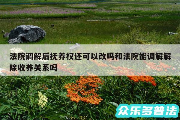 法院调解后抚养权还可以改吗和法院能调解解除收养关系吗