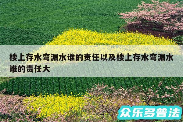 楼上存水弯漏水谁的责任以及楼上存水弯漏水谁的责任大