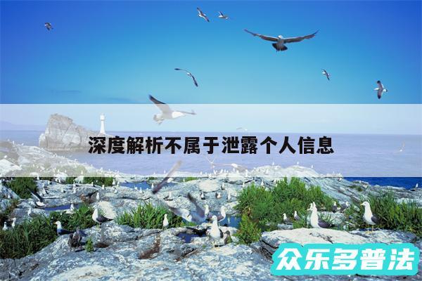 深度解析不属于泄露个人信息
