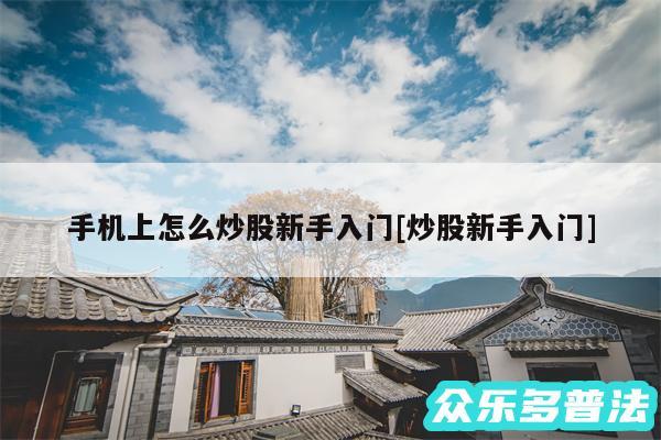 手机上怎么炒股新手入门及炒股新手入门