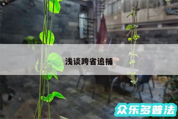 浅谈跨省追捕