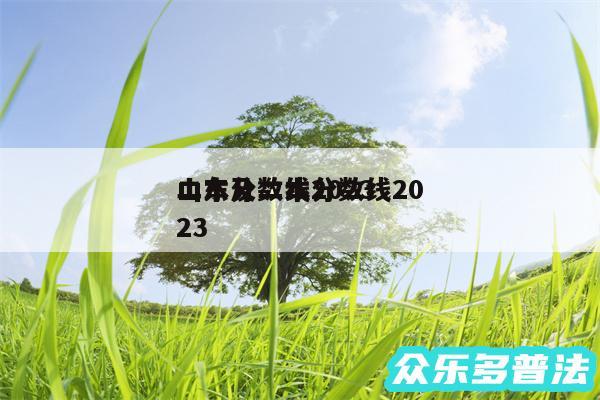 二本分数线2024
山东及二本分数线2024