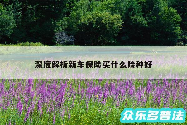 深度解析新车保险买什么险种好