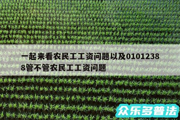 一起来看农民工工资问题以及01012388管不管农民工工资问题