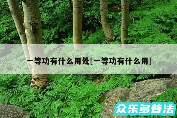 一等功有什么用处及一等功有什么用