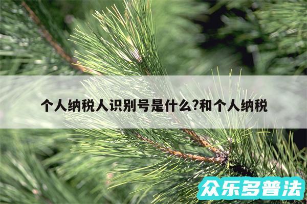 个人纳税人识别号是什么?和个人纳税