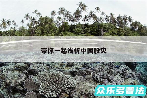 带你一起浅析中国股灾