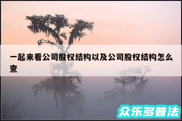 一起来看公司股权结构以及公司股权结构怎么查