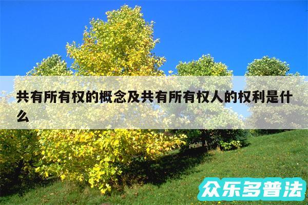 共有所有权的概念及共有所有权人的权利是什么