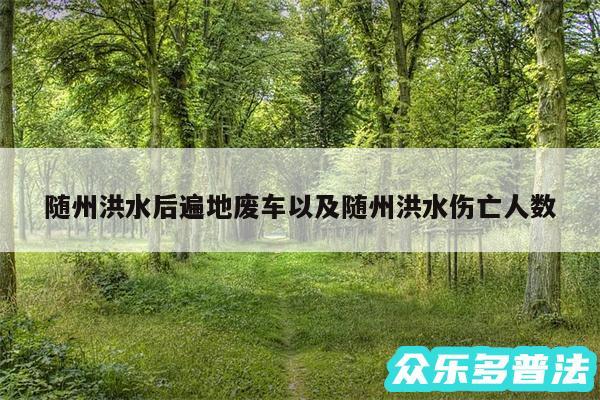 随州洪水后遍地废车以及随州洪水伤亡人数