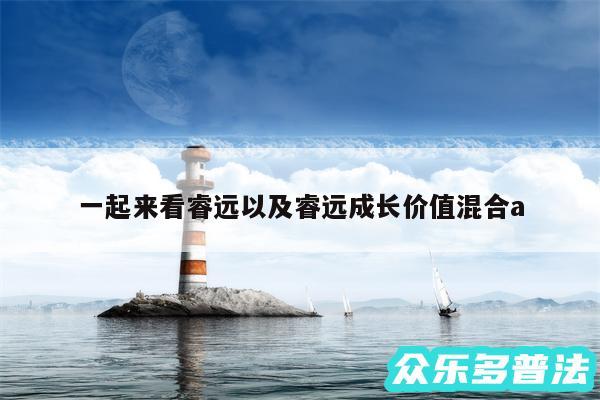 一起来看睿远以及睿远成长价值混合a
