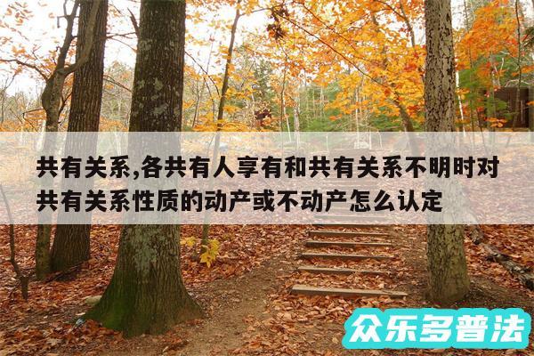 共有关系,各共有人享有和共有关系不明时对共有关系性质的动产或不动产怎么认定