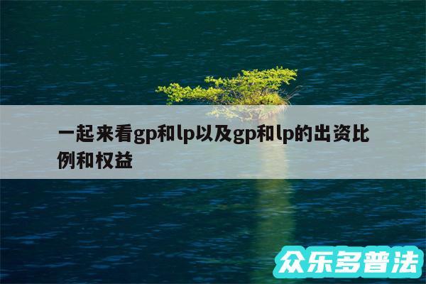 一起来看gp和lp以及gp和lp的出资比例和权益