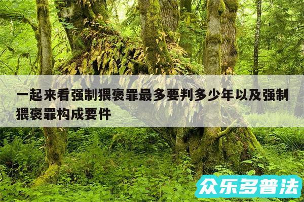 一起来看强制猥褒罪最多要判多少年以及强制猥褒罪构成要件