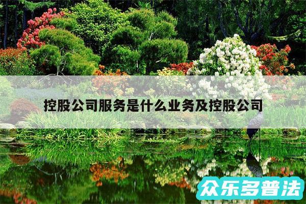 控股公司服务是什么业务及控股公司