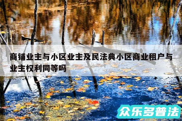 商铺业主与小区业主及民法典小区商业租户与业主权利同等吗