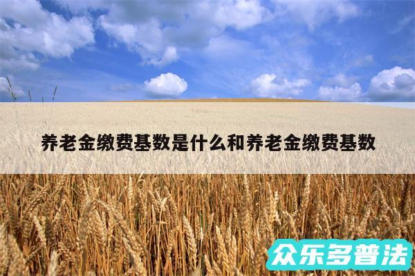 养老金缴费基数是什么和养老金缴费基数