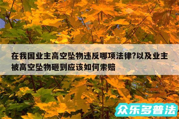 在我国业主高空坠物违反哪项法律?以及业主被高空坠物砸到应该如何索赔