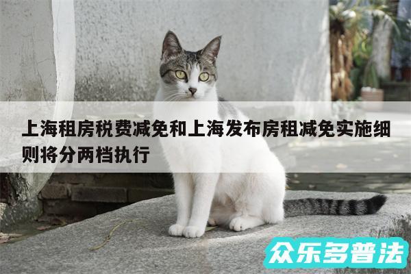 上海租房税费减免和上海发布房租减免实施细则将分两档执行