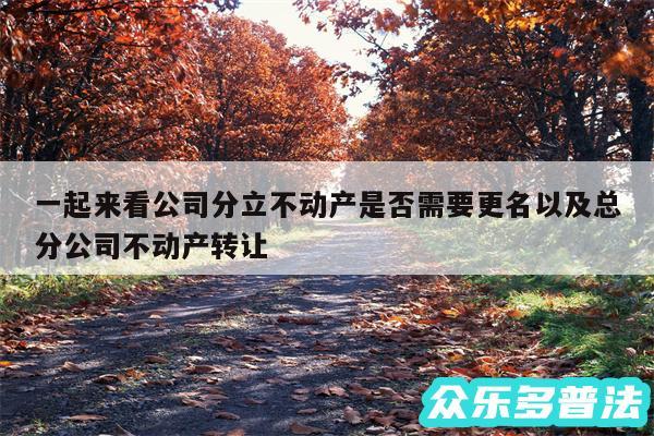 一起来看公司分立不动产是否需要更名以及总分公司不动产转让