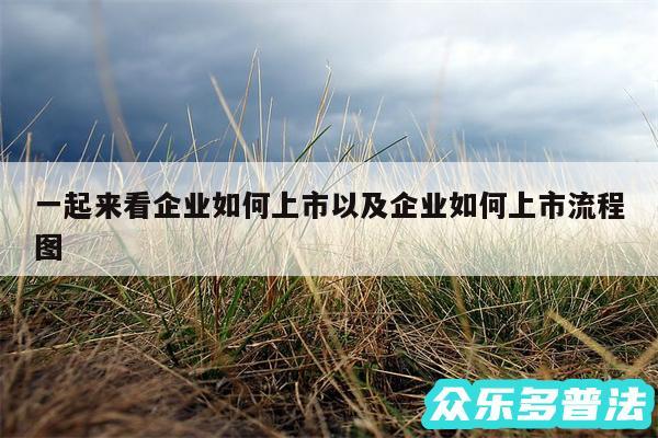 一起来看企业如何上市以及企业如何上市流程图