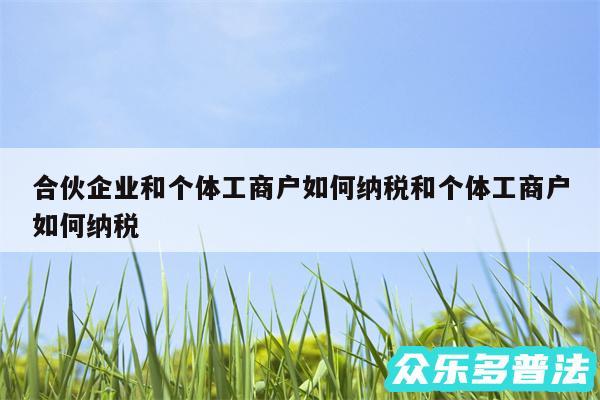 合伙企业和个体工商户如何纳税和个体工商户如何纳税