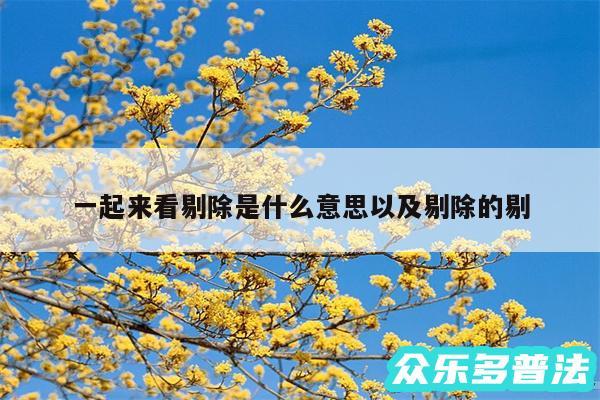 一起来看剔除是什么意思以及剔除的剔