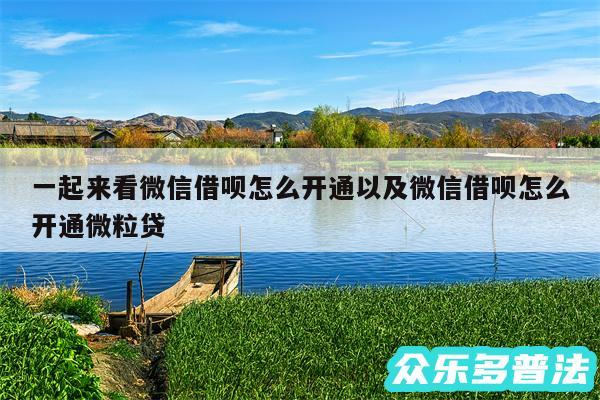 一起来看微信借呗怎么开通以及微信借呗怎么开通微粒贷